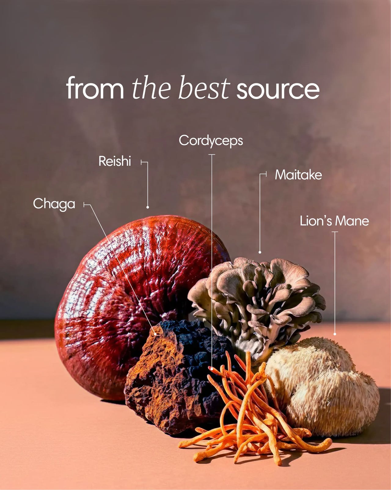 Clearly Mushroom Mix capsules featuring a blend of assorted mushroom ingredients in clear capsules on a neutral background.