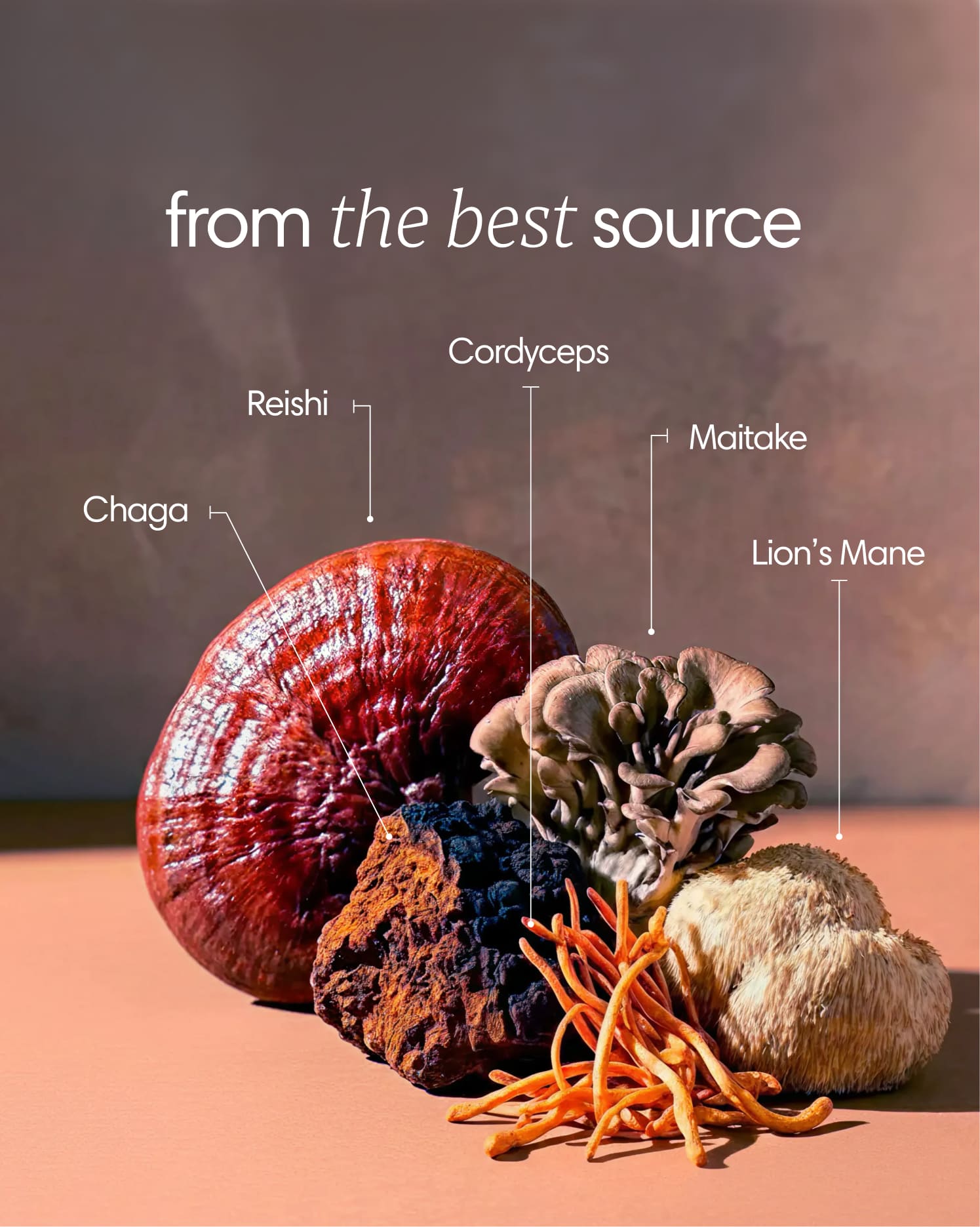 Clearly Mushroom Mix capsules featuring a blend of assorted mushroom ingredients in clear capsules on a neutral background.