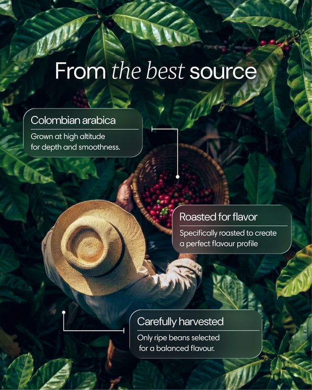 Clearly mushroom coffee in a mug with mushroom ingredients and brewing equipment, showcasing the natural origins of the product.